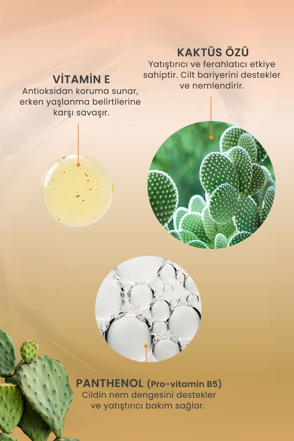 Kaktüs Özlü Spf 50 Nemlendirici Karma Cilt Tipleri Vücut Yüz Güneş Kremi 50ml