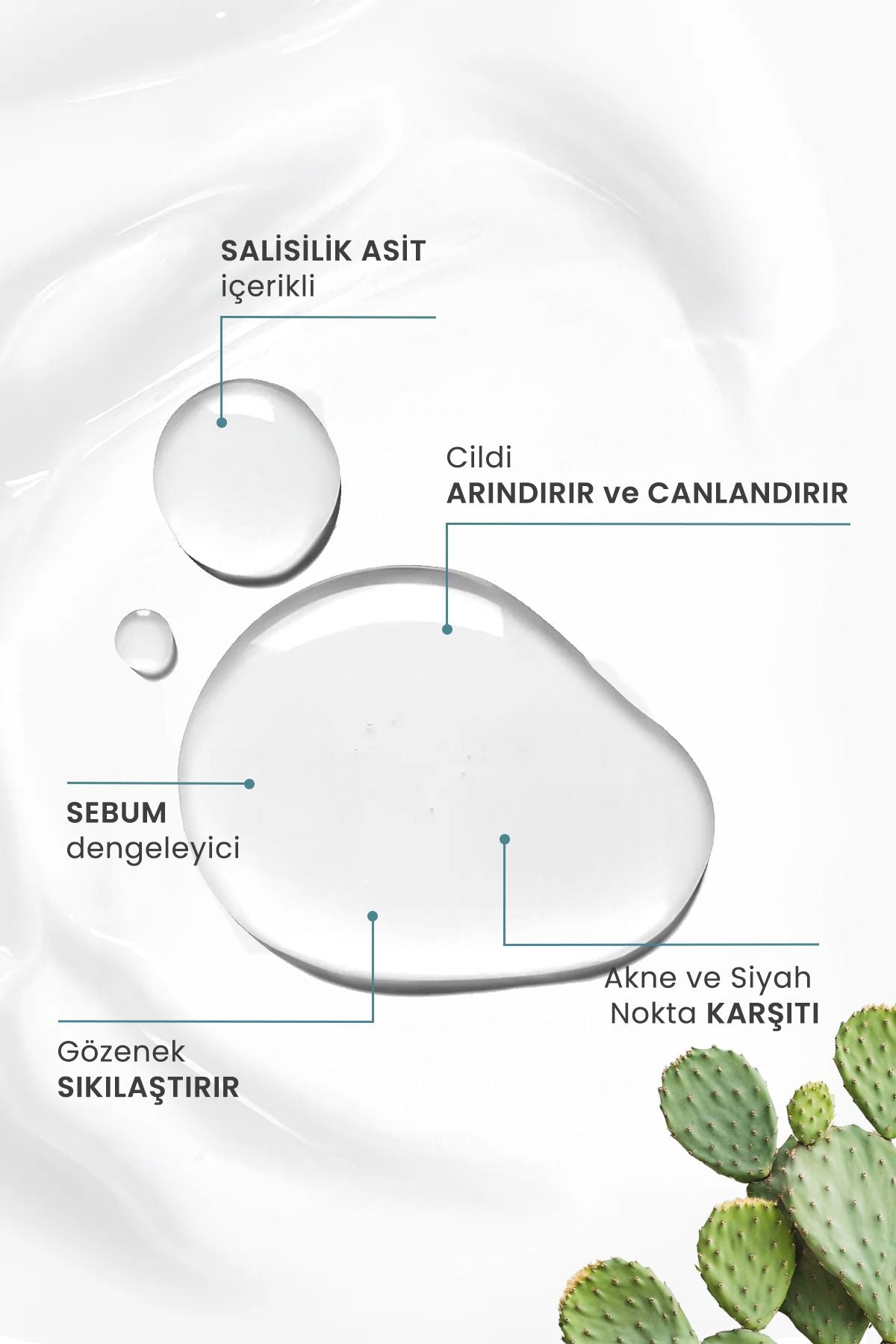 Kaktüs Özlü Ve Siyah Nokta Karşıtı Gözenek Sıkılaştırıcı Salisilik Asit Tonik 200ml