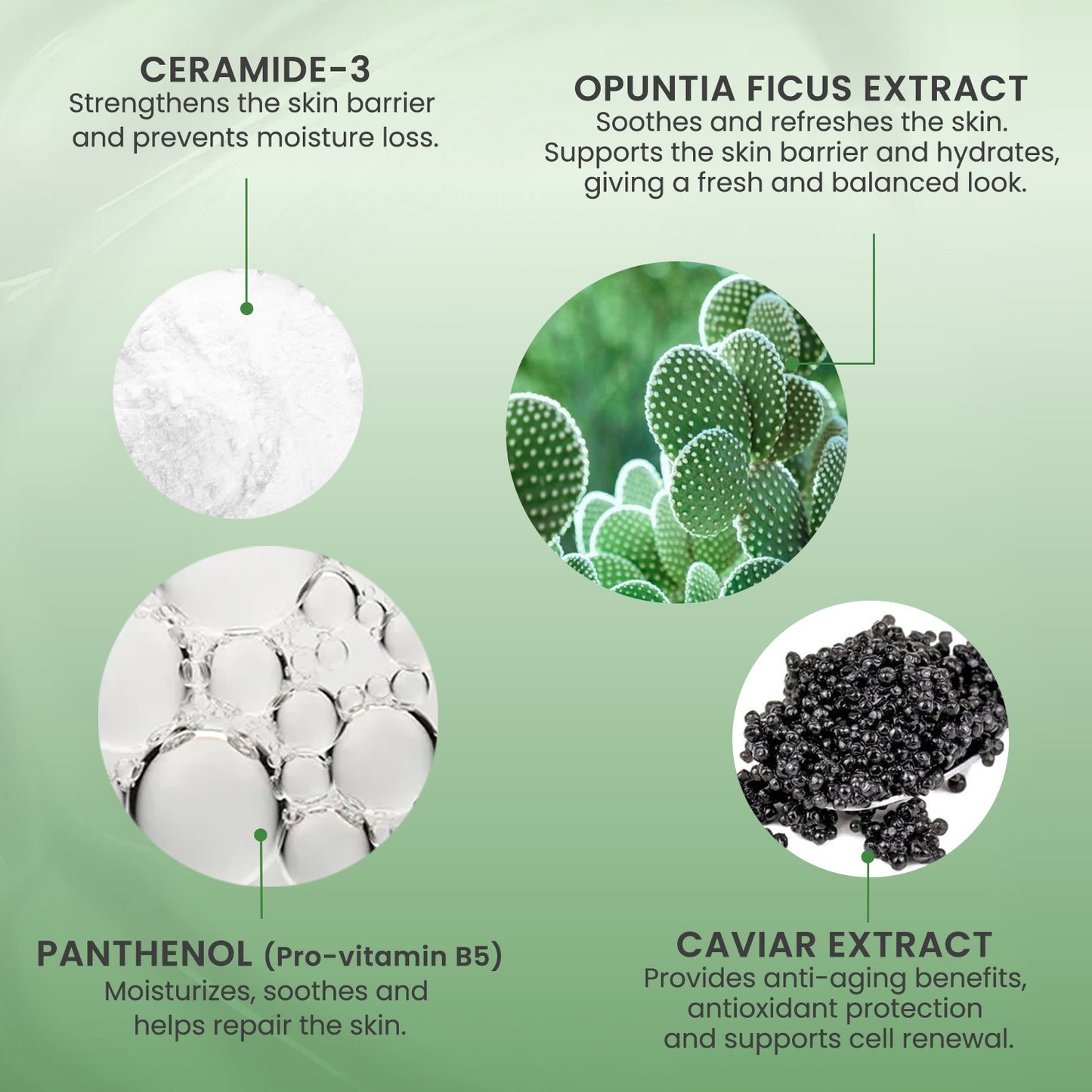 The Liva face wash for women - hydrating facial cleanser with anti aging face wash - Cactus Extract - face cleanser | gentle cleanser for face | hydro boost water gel | face wash for oily skin 13.5 oz