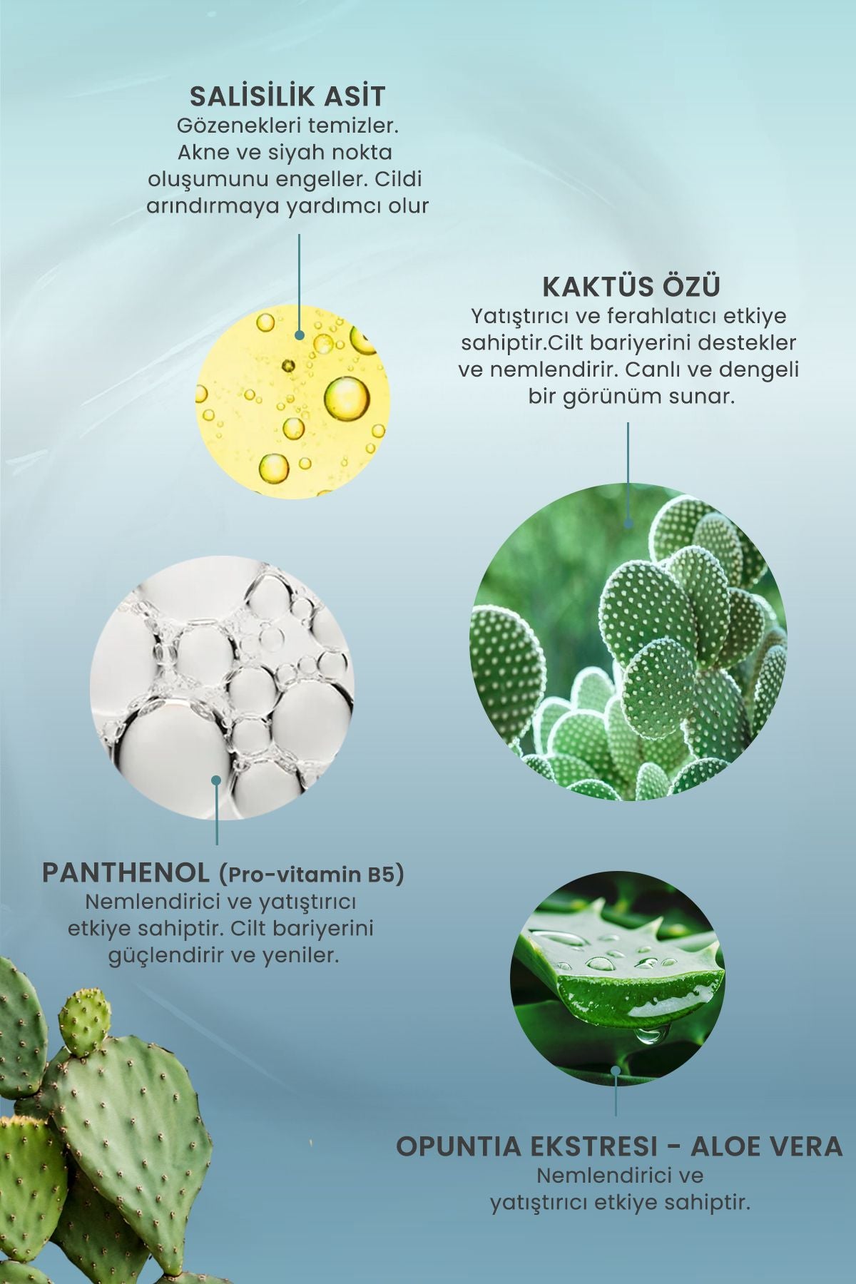 C Vitamini Serum Aydınlatıcı Yüz Temizleme Jeli Siyah Nokta Karşıtı Cilt Bakımı Salisilik Asit Tonik