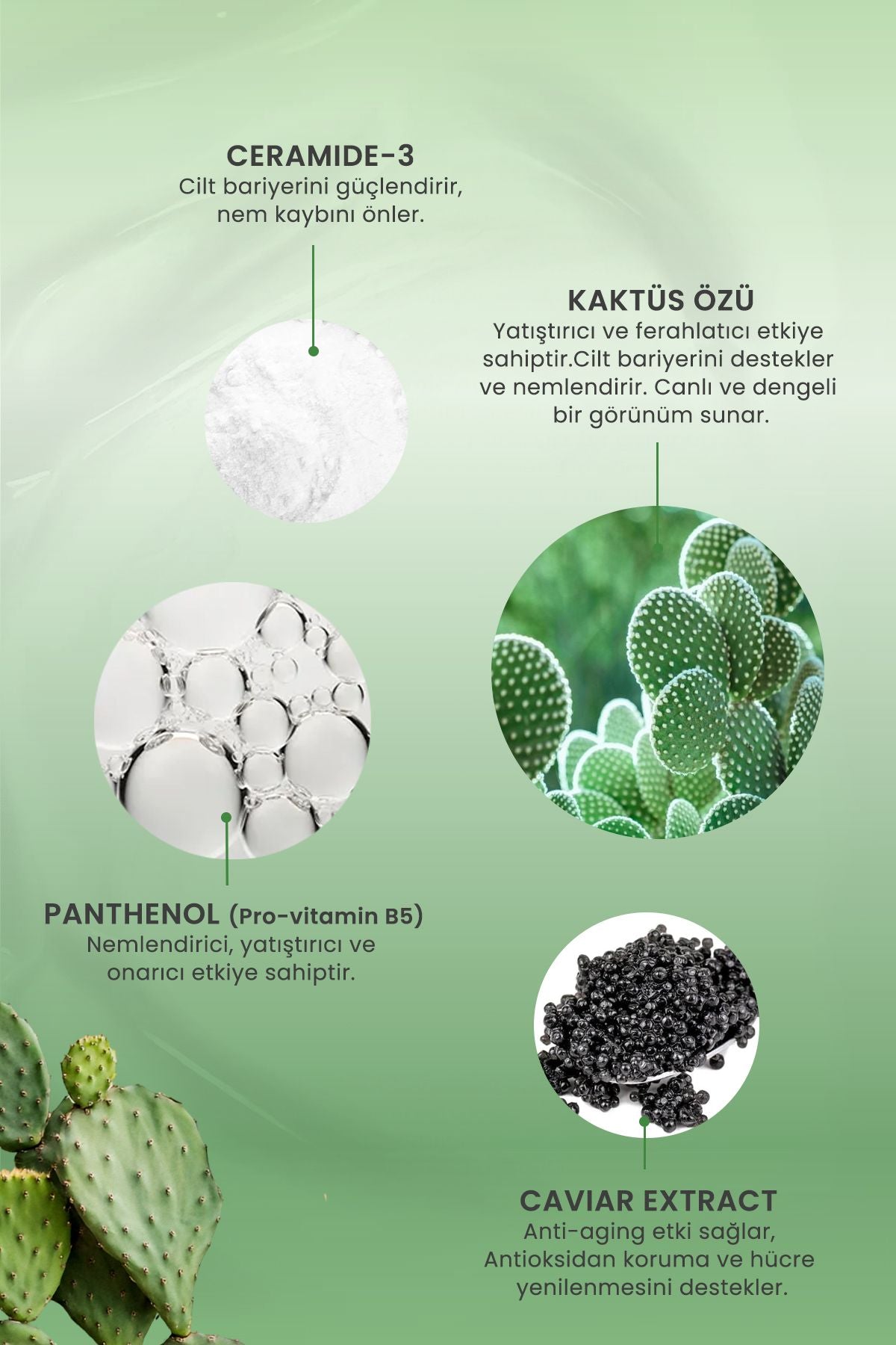 C Vitamini Serum Aydınlatıcı Yüz Temizleme Jeli Siyah Nokta Karşıtı Cilt Bakımı Salisilik Asit Tonik
